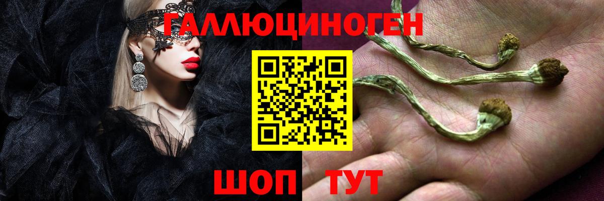 Корсаков  дарнет шоп  Вход с VPN  Псилоцибиновые грибы прущие грибы 